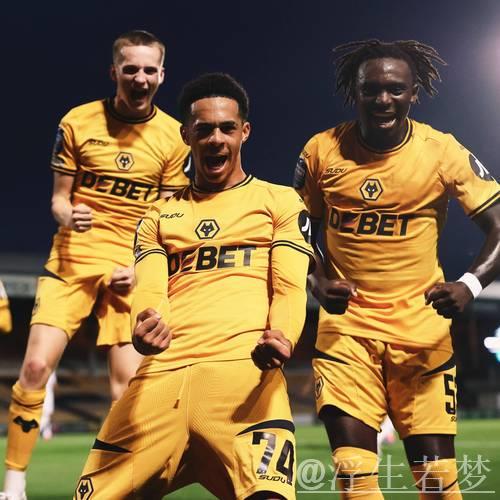 西汉姆联挥霍多次良机 狼队主场全取三分 西汉姆联挥霍多次良机 狼队主场全取三分